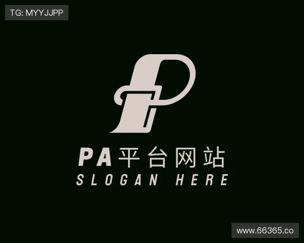 认识PA平台网站